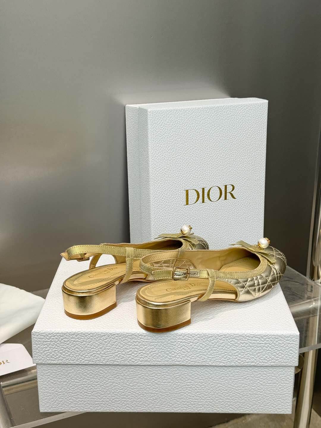 Dior Ballet Slingback Pump