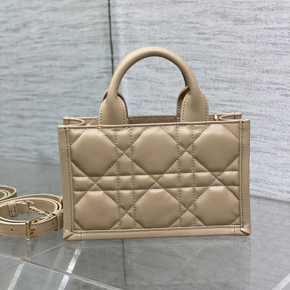 Mini Dior Book Tote