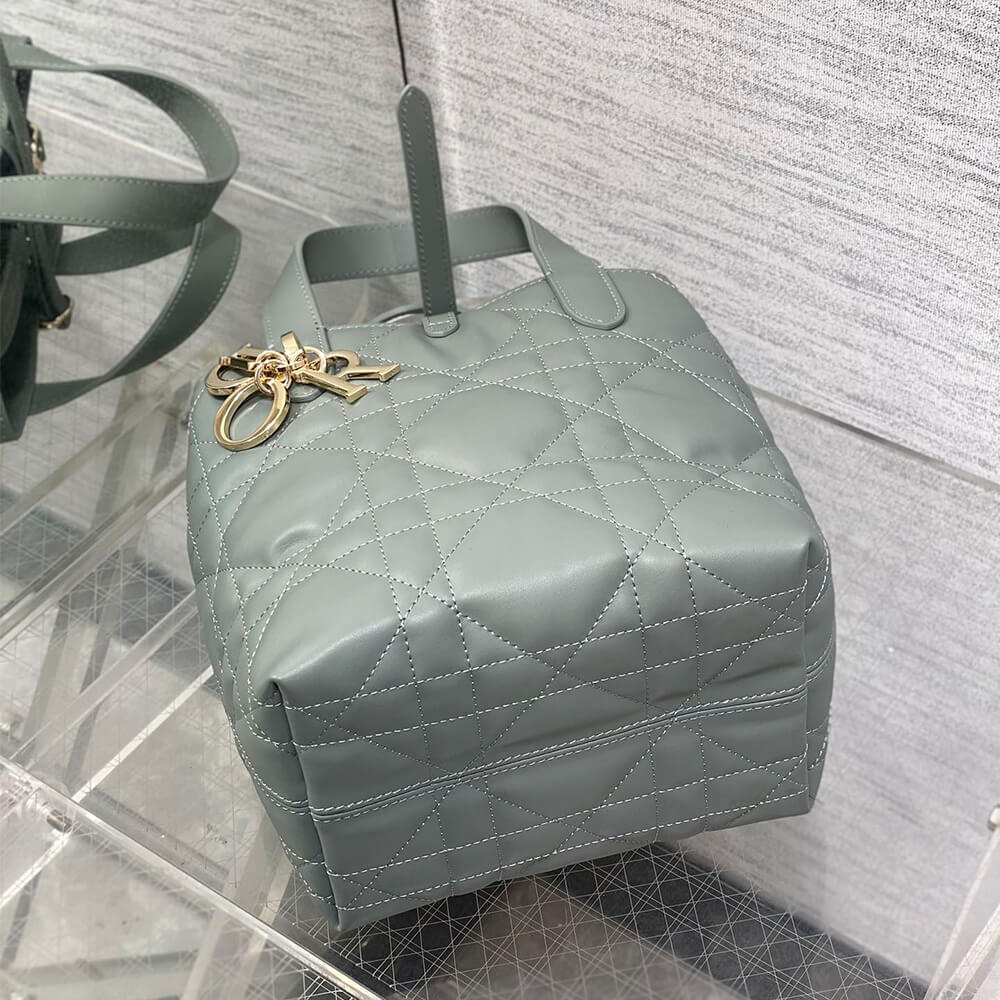 Small Dior Toujours Vertical Tote Bag(high-end grade)