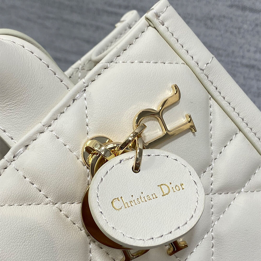 Mini Dior Book Tote