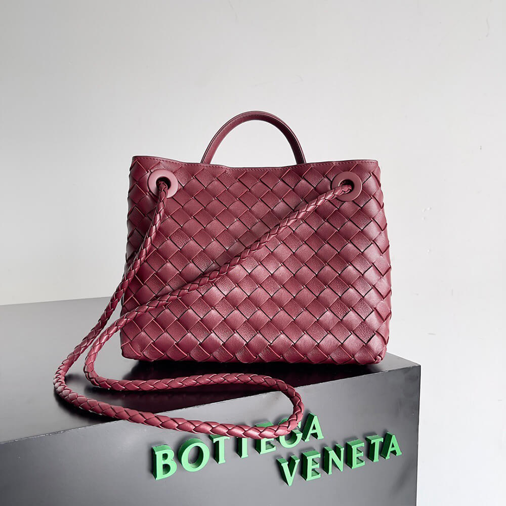 Bottega Veneta Small Andiamo