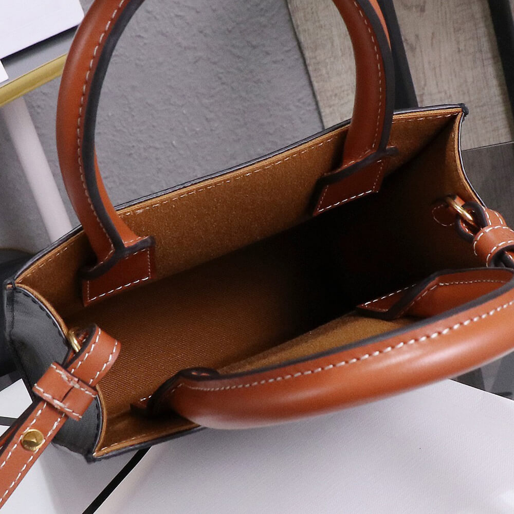 CELINE Mini Vertical Cabas IN Triomphe Canvas with Celine print