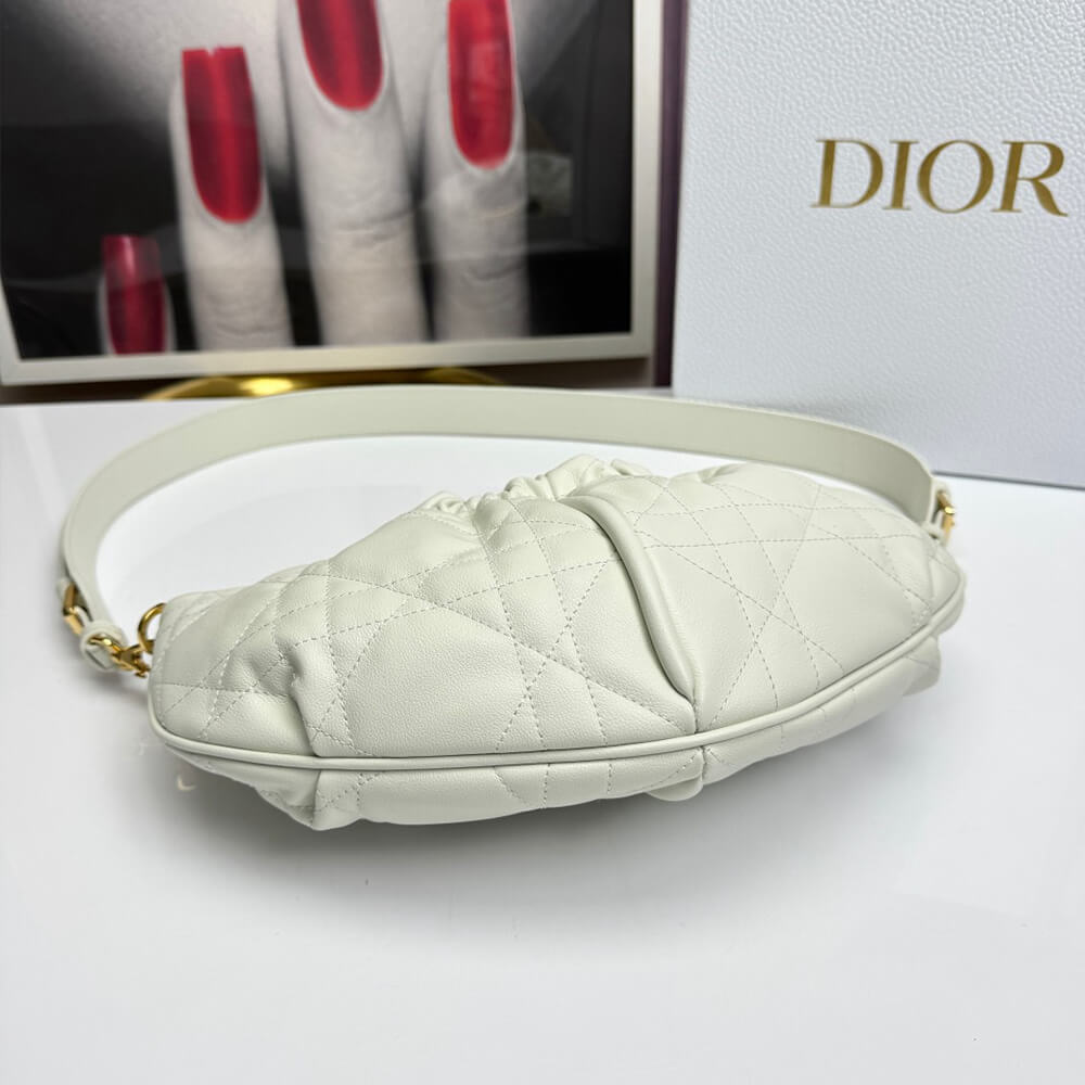 Dior Walk in Dior Purse