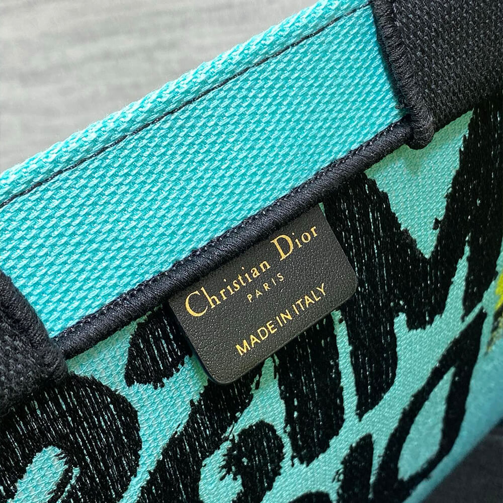 Small Dior Book Tote