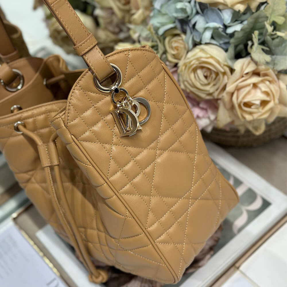 Dior Medium D-Motion Bag(HIGH-END GRADE)