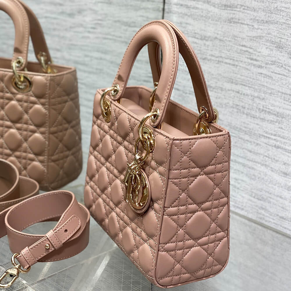 Small Lady Dior My ABCDior Bag